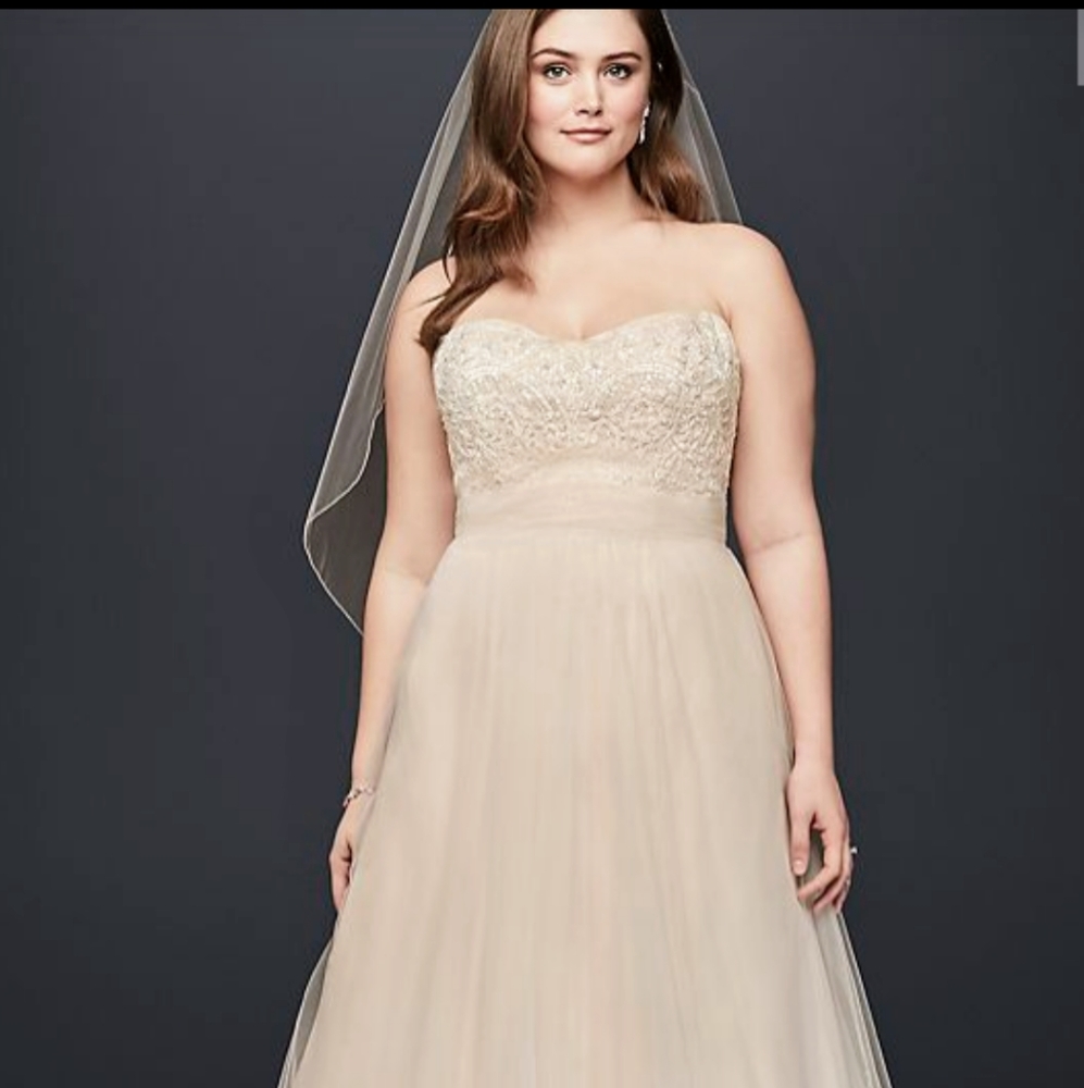 Wedding Dress Size 26